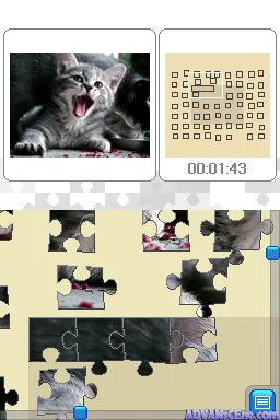 Snapshot